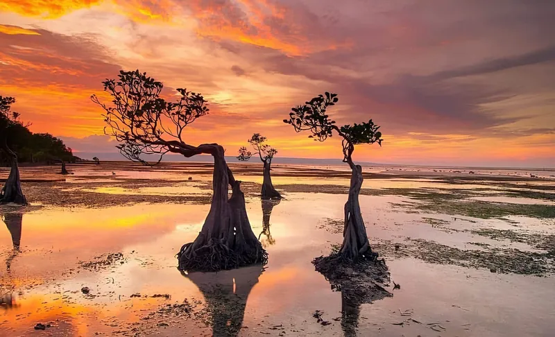 Sumba Real Estate 2025: Land, Villas & Eco-Resort Investment Guide